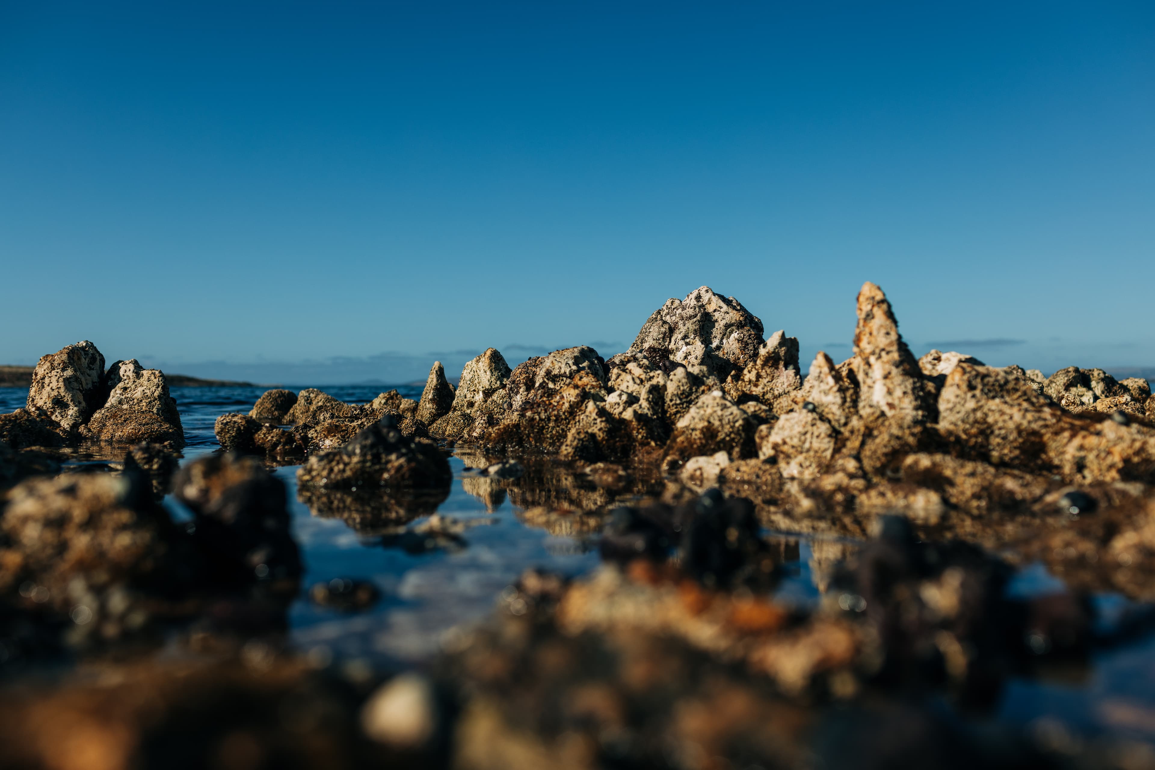 Louth Island Landscape